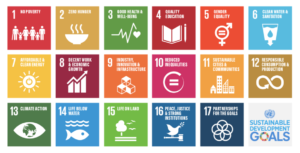 The New Normal and the UN’s Sustainable Development Goals 1