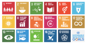 The New Normal and the UN’s Sustainable Development Goals 2